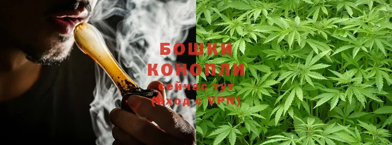 магазин продажи   Курчатов  Шишки марихуана SATIVA & INDICA 